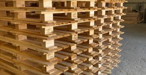 Sohar Wooden Pallets Factory - 3