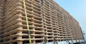 Sohar Wooden Pallets Factory - 2