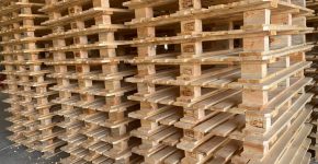 Sohar Wooden Pallets Factory - 10