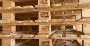 Sohar Wooden Pallets Factory - 9